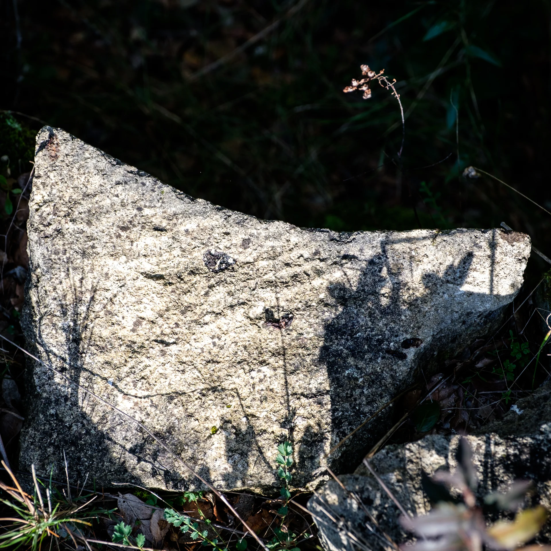 …exquisite cut stone: testimony to the fact that no corner was left unturned in this extraordinary venture.