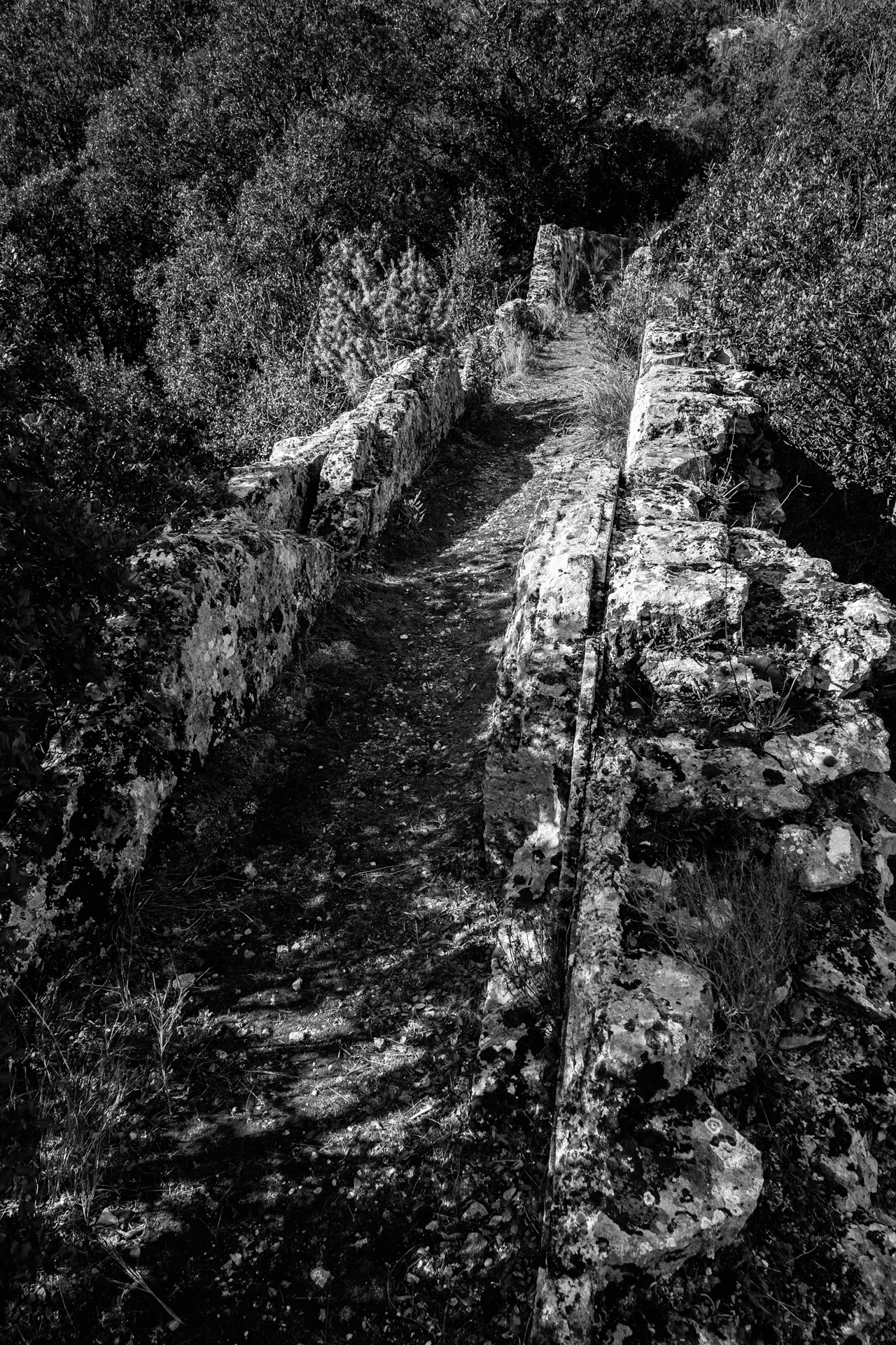 le pont de la combe Joseph
