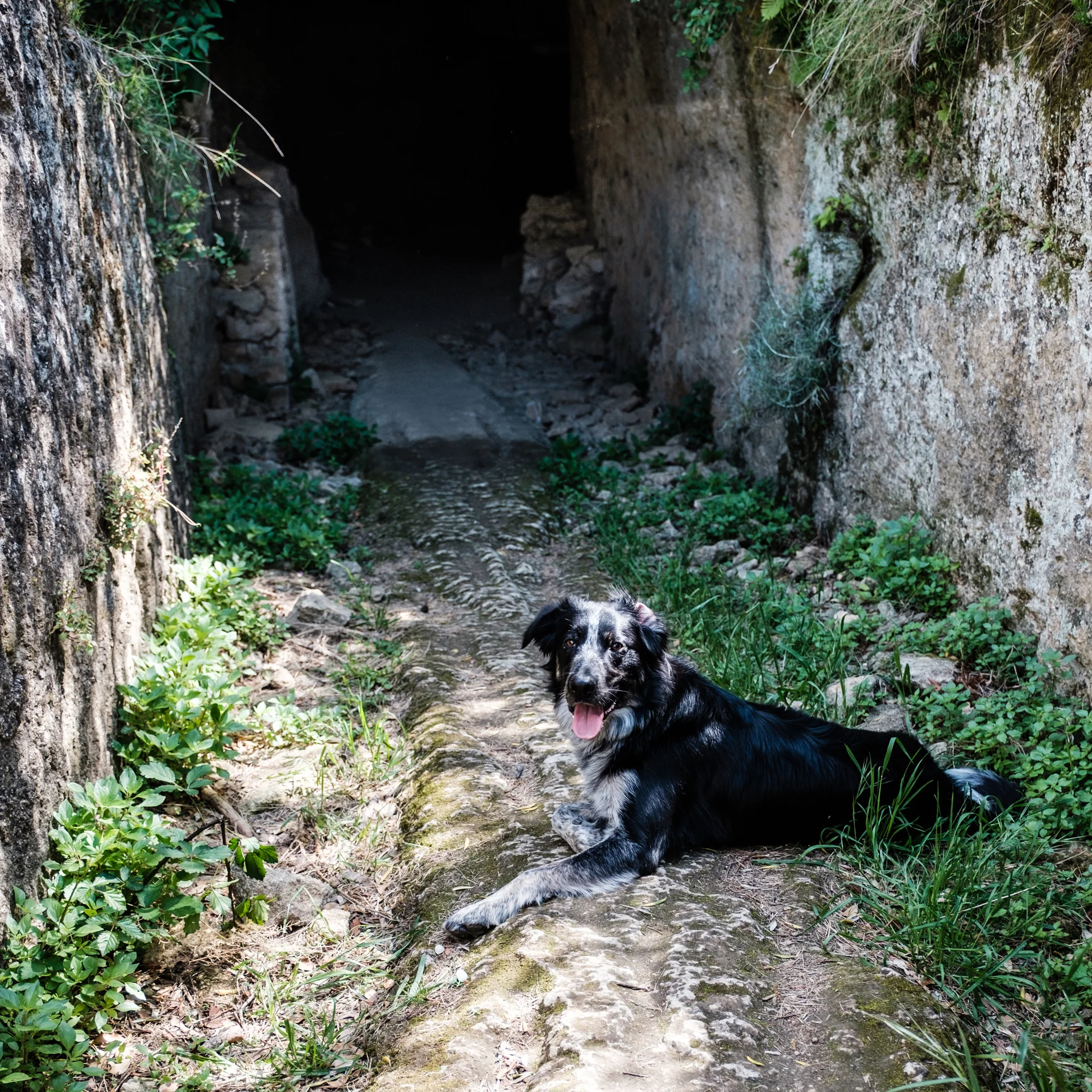 DSCF6910.jpg