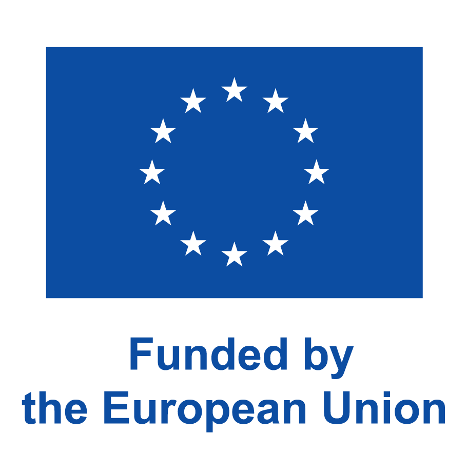 EN V Funded by the EU_PANTONE.png