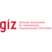 giz-standard-logo_0.png