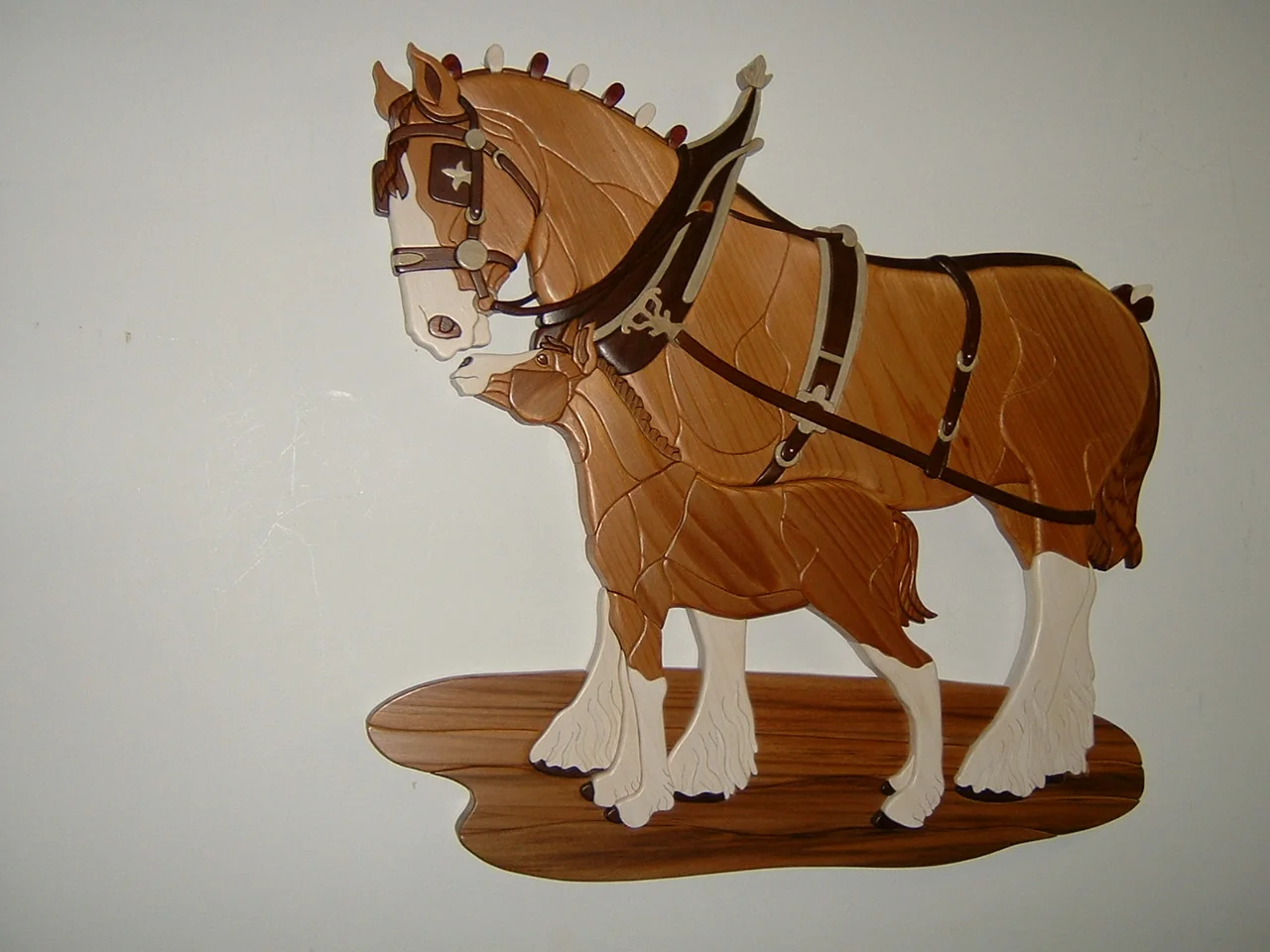 Clydesdale and Colt