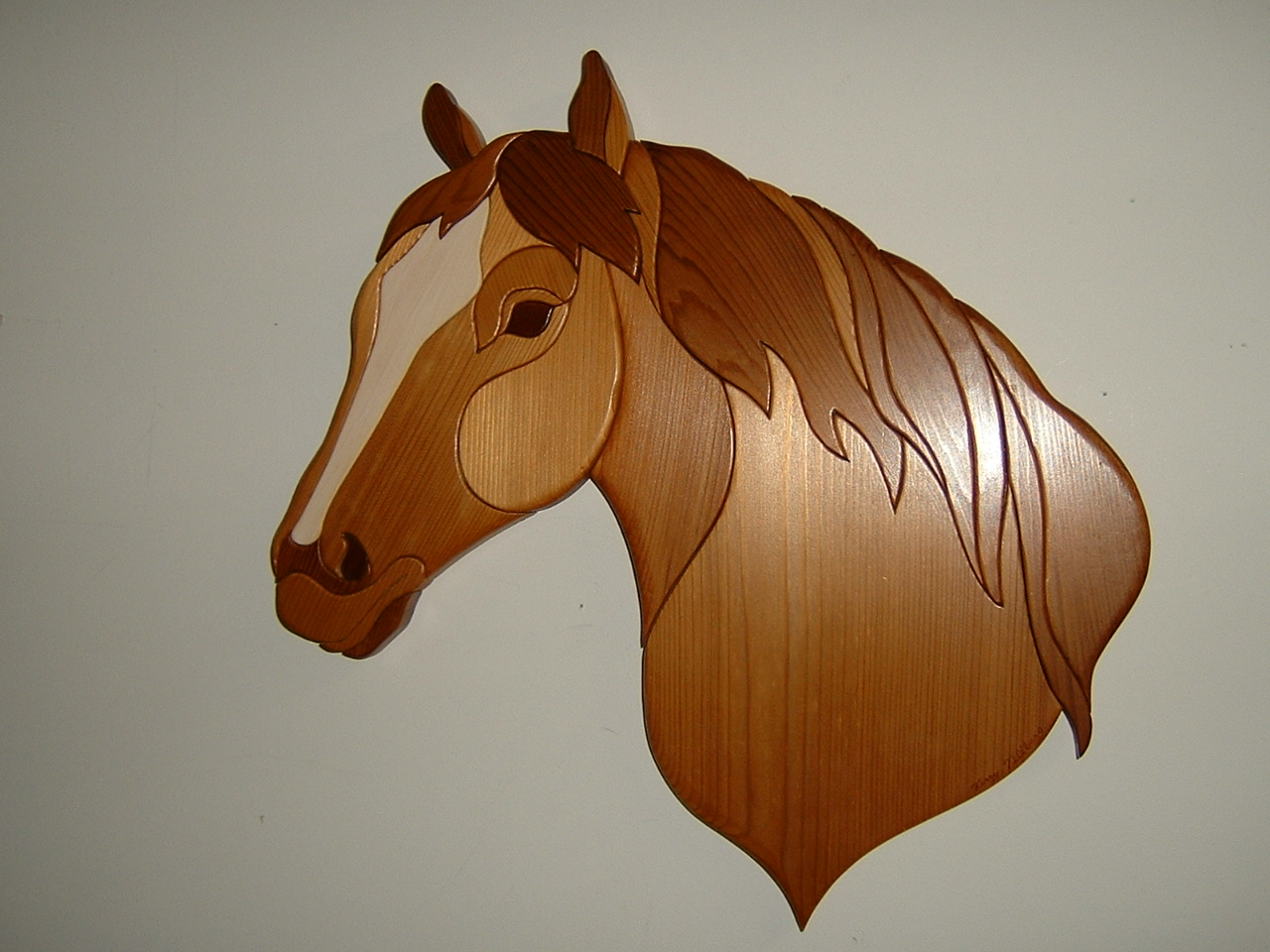 Horse