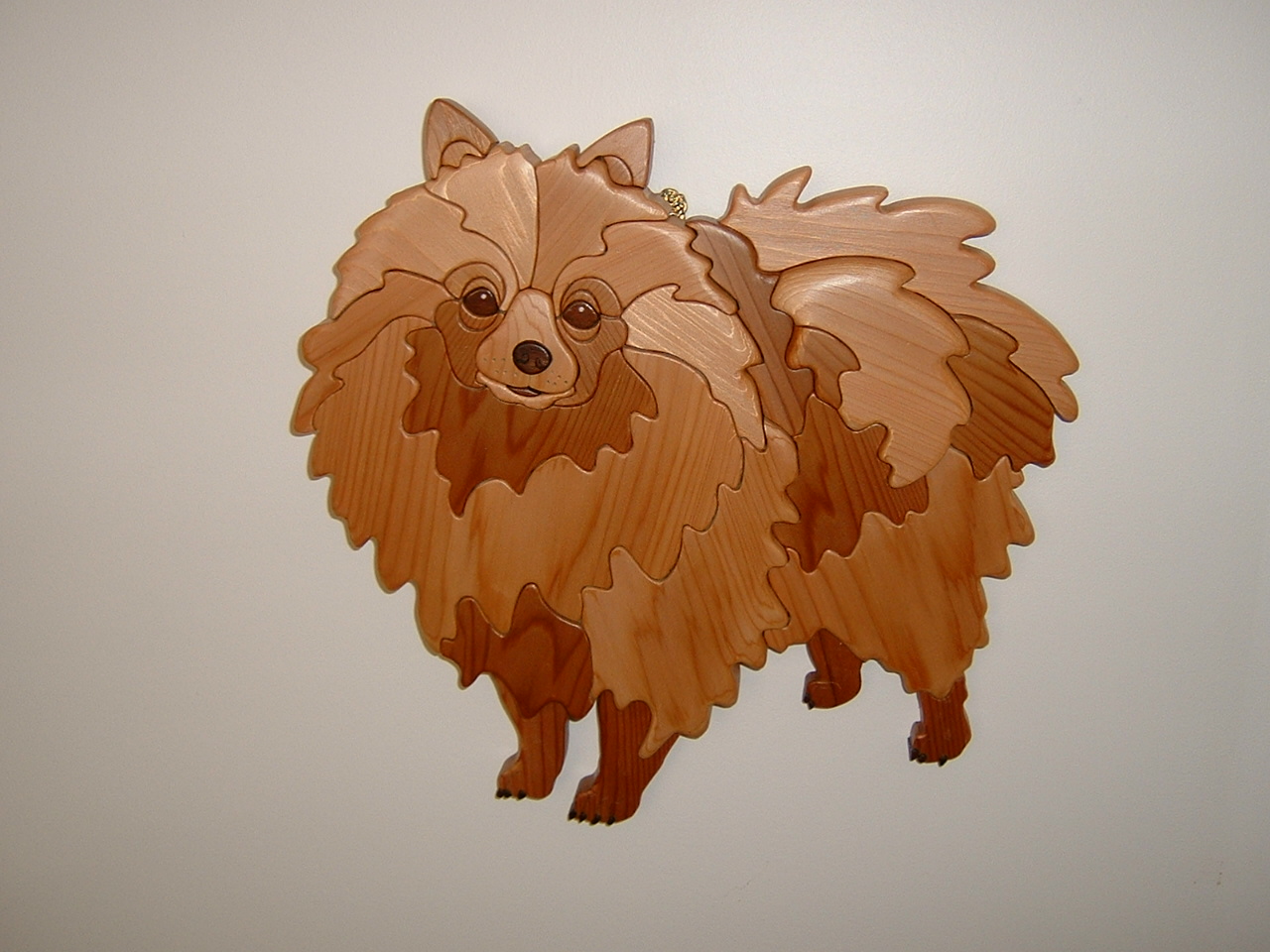 Pomeranian