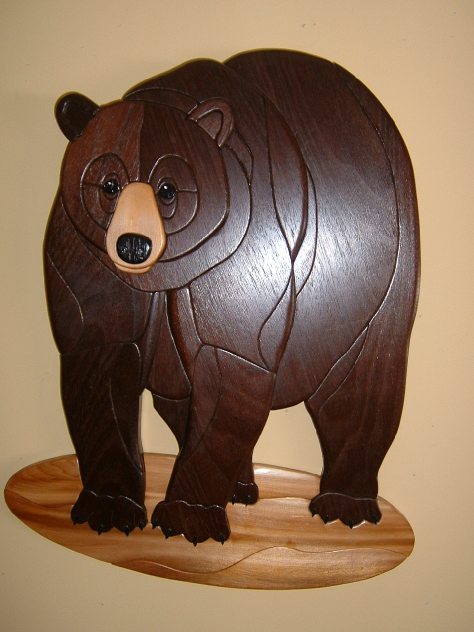  Black Bear 
