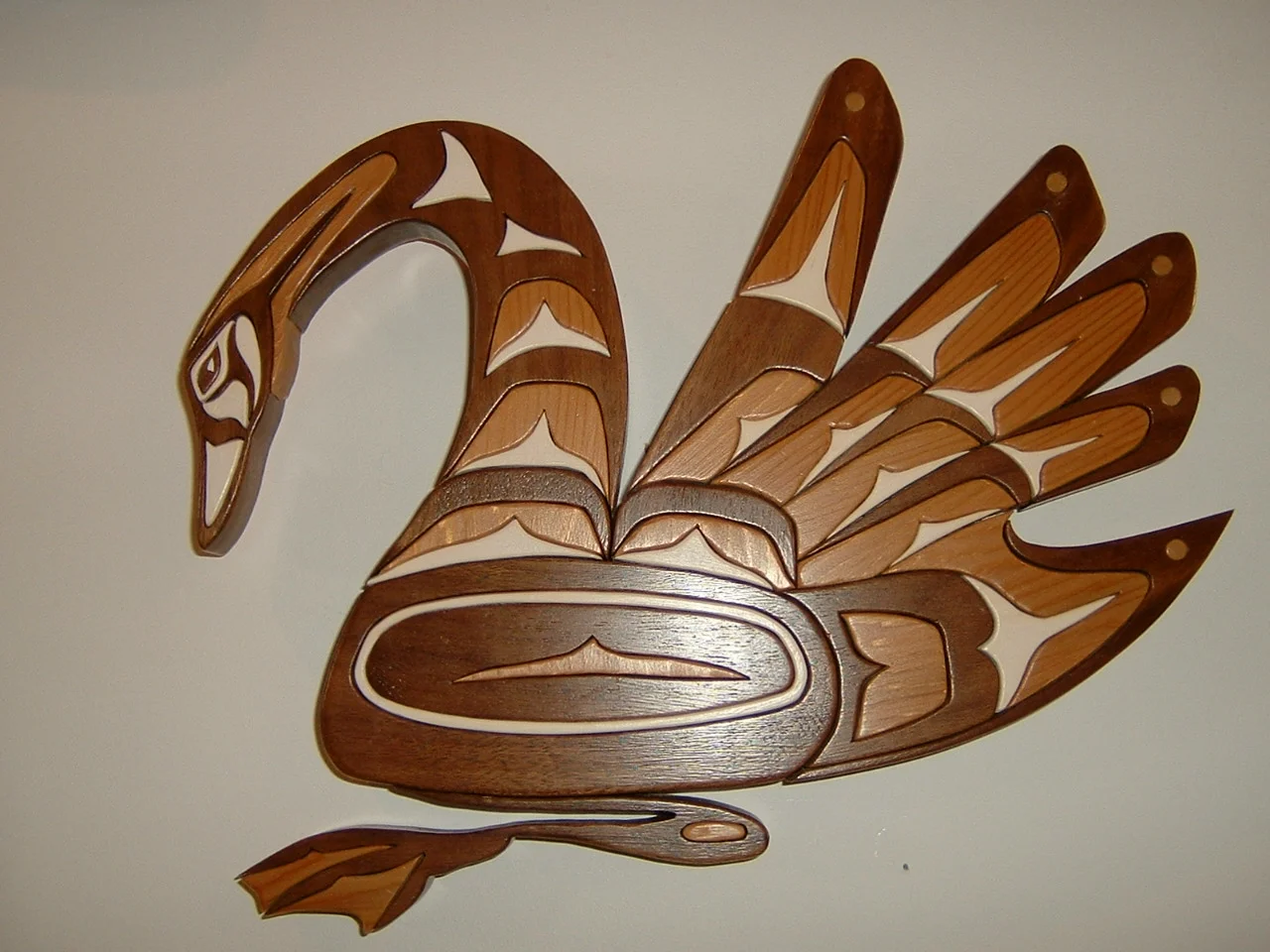 Haida Swan