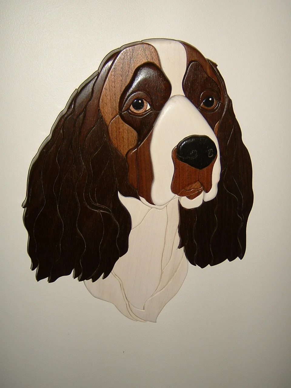 Springer Spaniel
