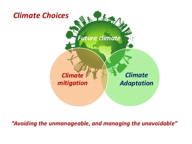 focus-on-the-coast-mitigating-climate-change-at-the-local-level-greenhouse-gases-and-delaware-25-638.jpg