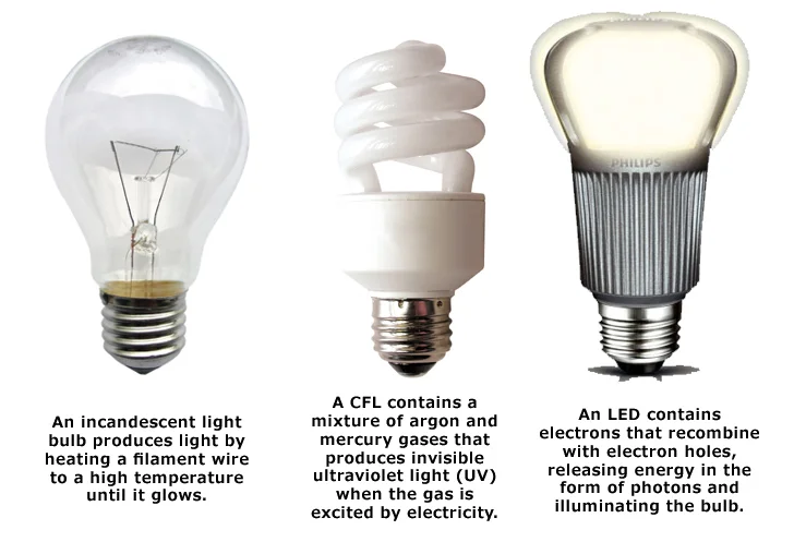 Federal-Light-Ban-Bulb-Types.jpg