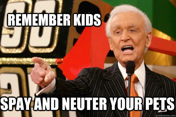 help-control-the-pet-population-remember-to-spay-or-neuter-the-dog.jpg