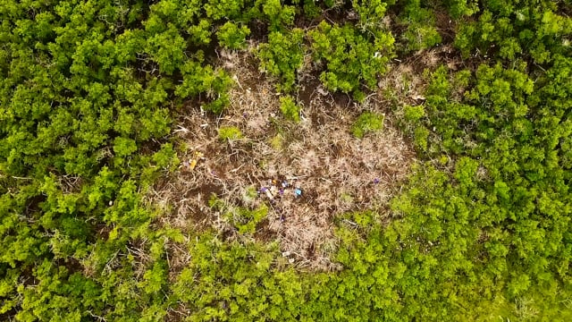 John Pennekamp Coral Reef State Park Cleanup