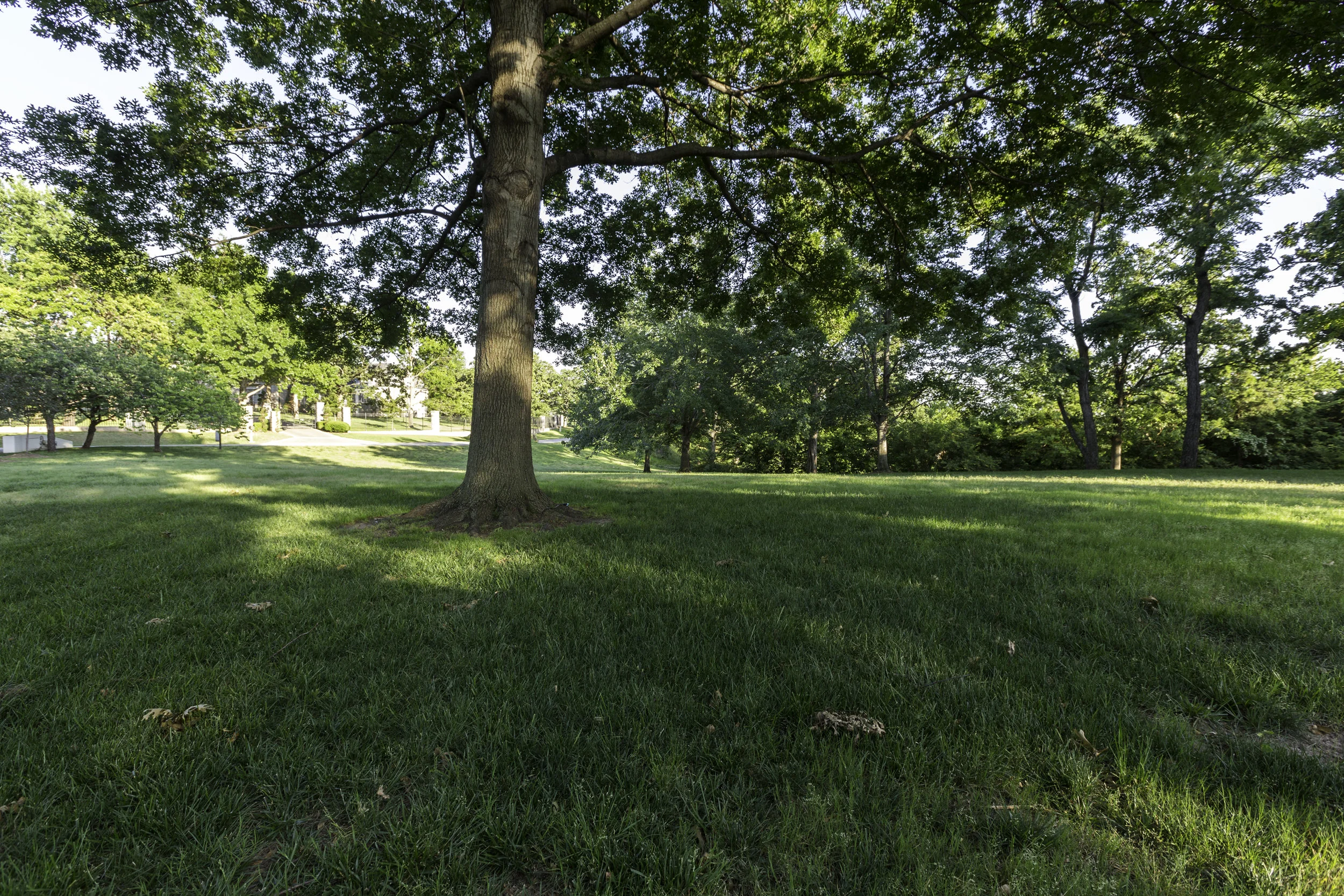Evanston-87.jpg