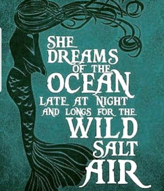 Salty kisses! Love this! 🌊💙🌊
.
.
.
#mermaidhair #mermaid #salty #ocean #oceanlife #tzanady #dream #oceandreams #saltykisses #beachlife #beachvibes #mermaidtribe #thankfulthursday #oceanconservation #instalove