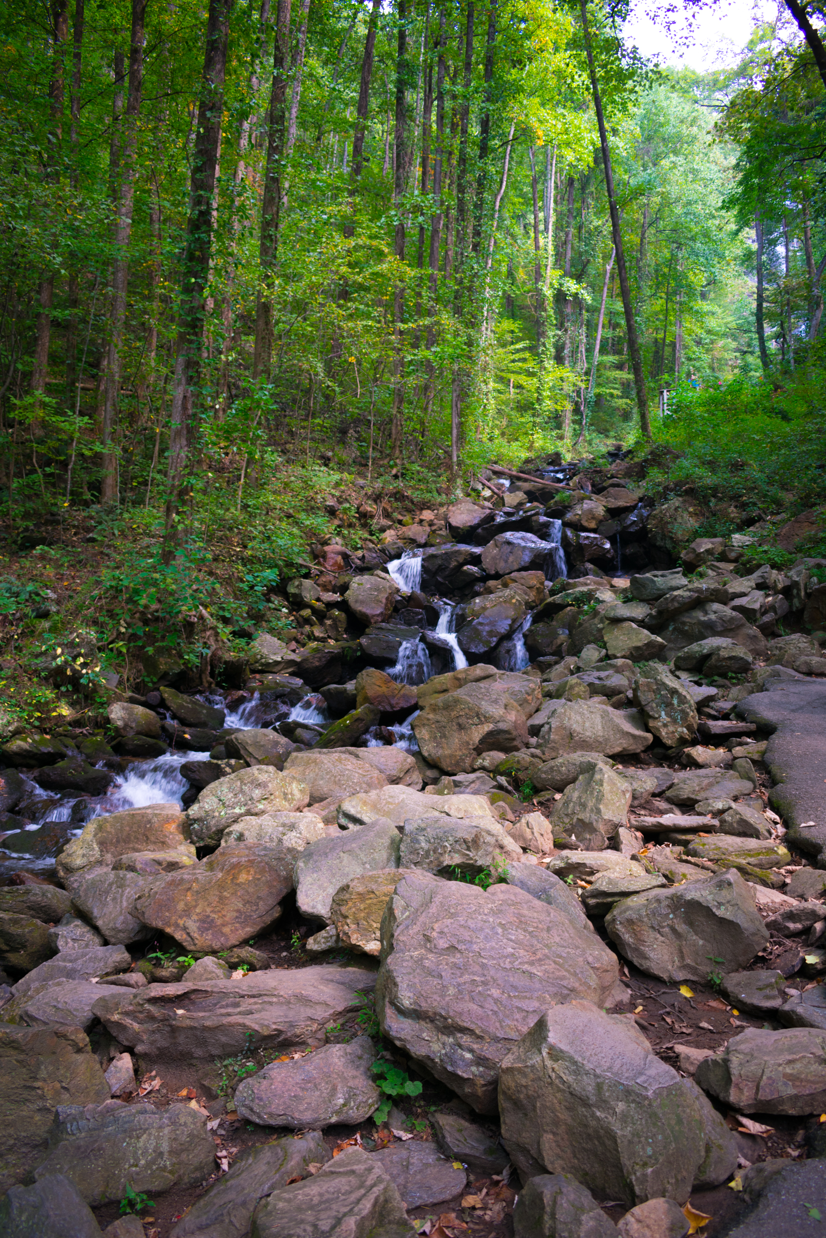 amicalola_falls-0863.jpg