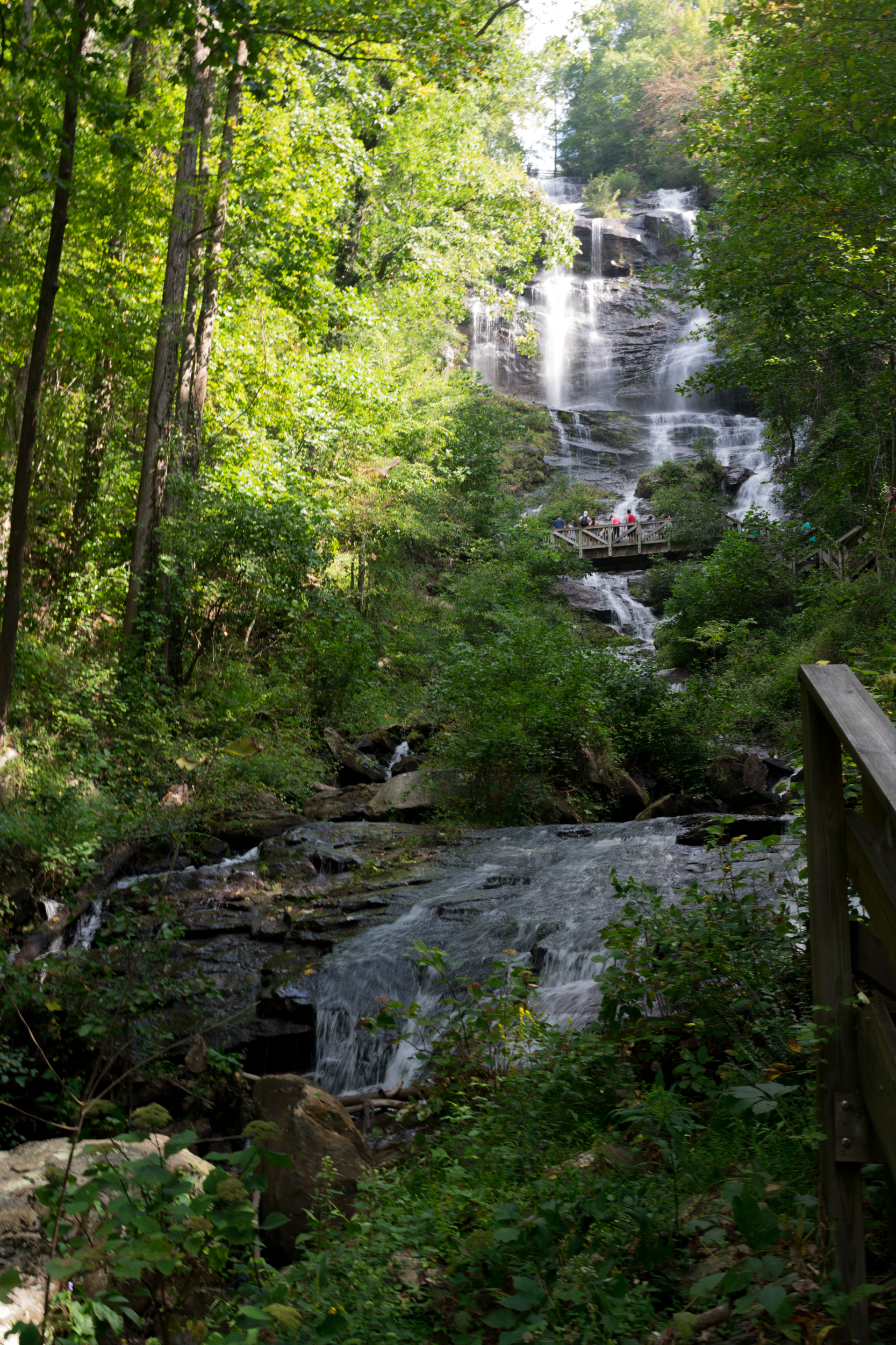 amicalola_falls-0880.jpg