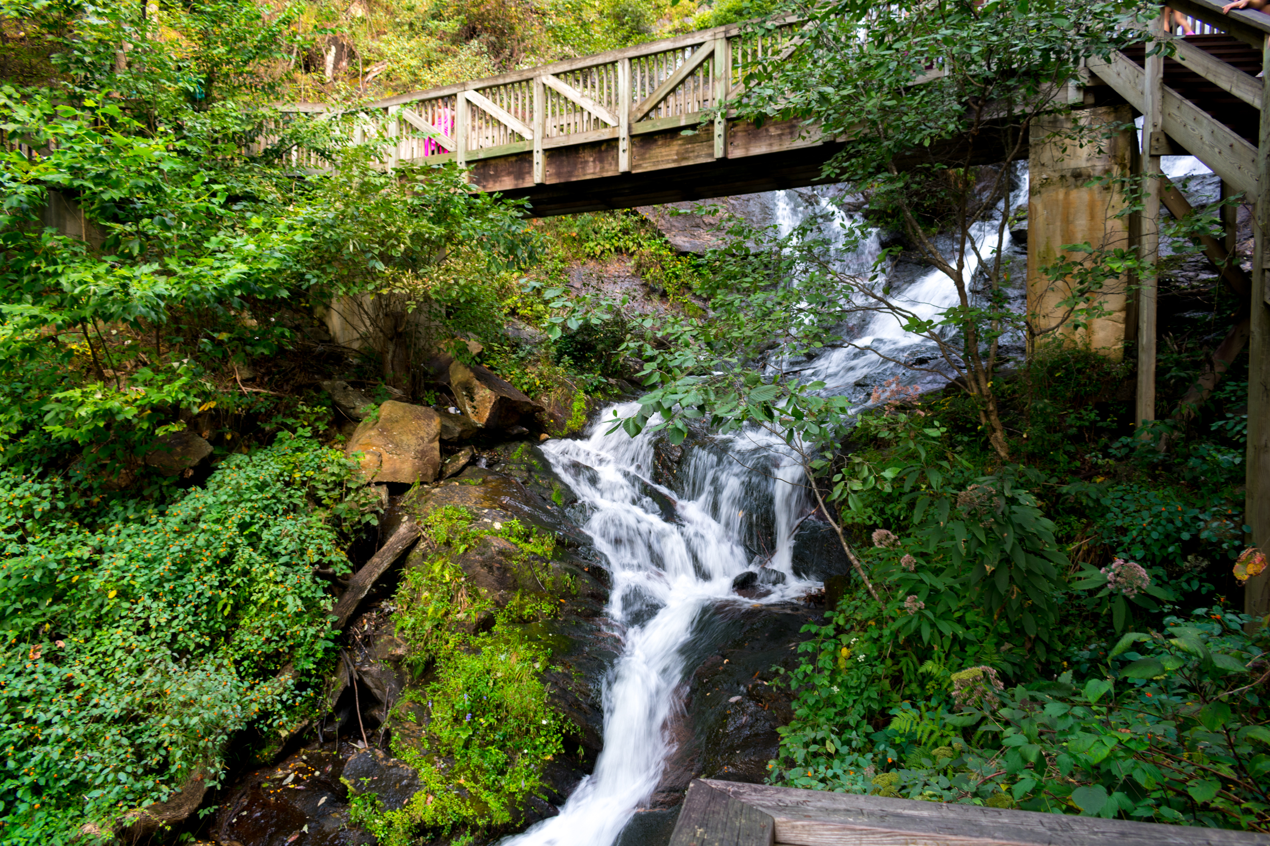 amicalola_falls-0908.jpg