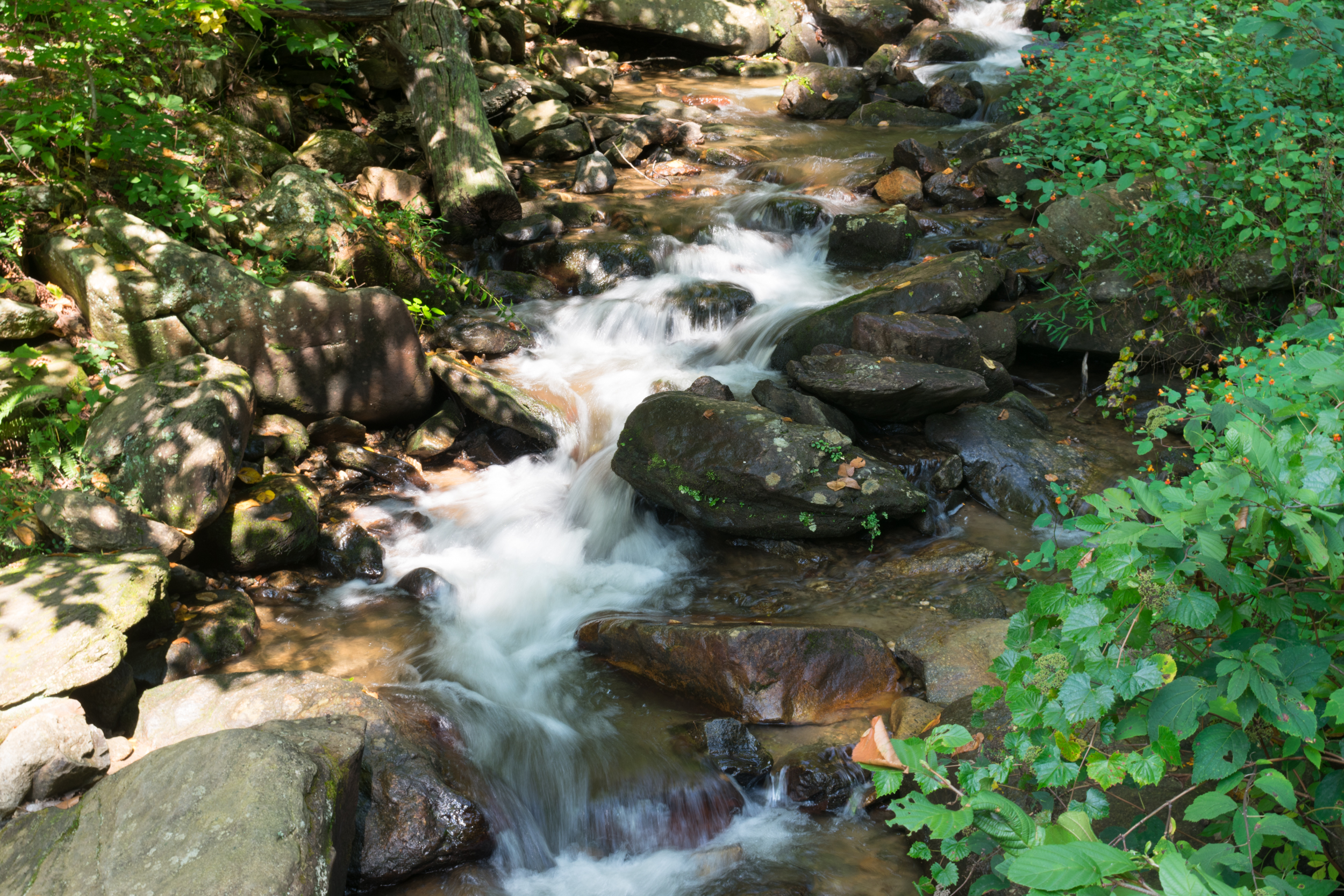 amicalola_falls-0976.jpg