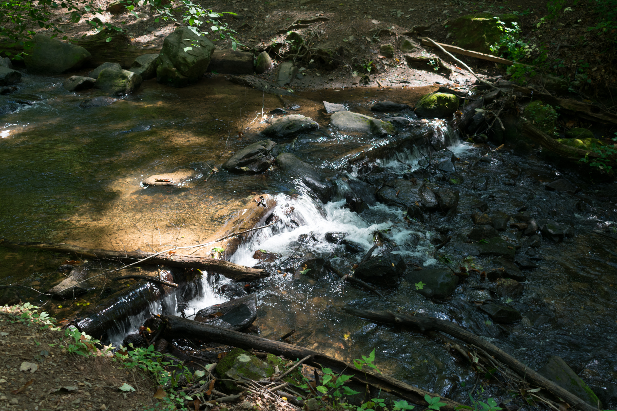 amicalola_falls-0986.jpg