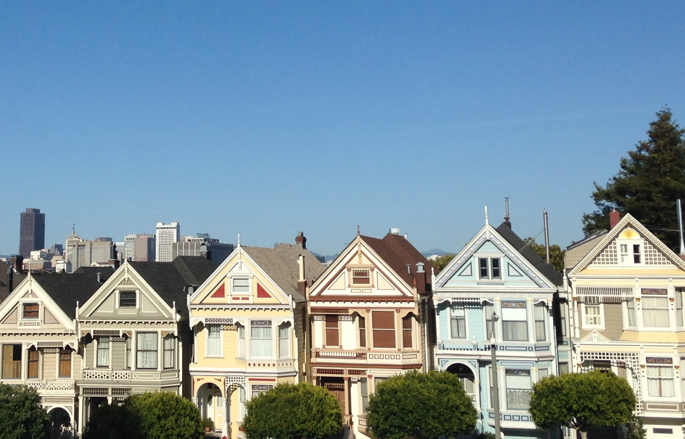 The Painted Ladies.jpg
