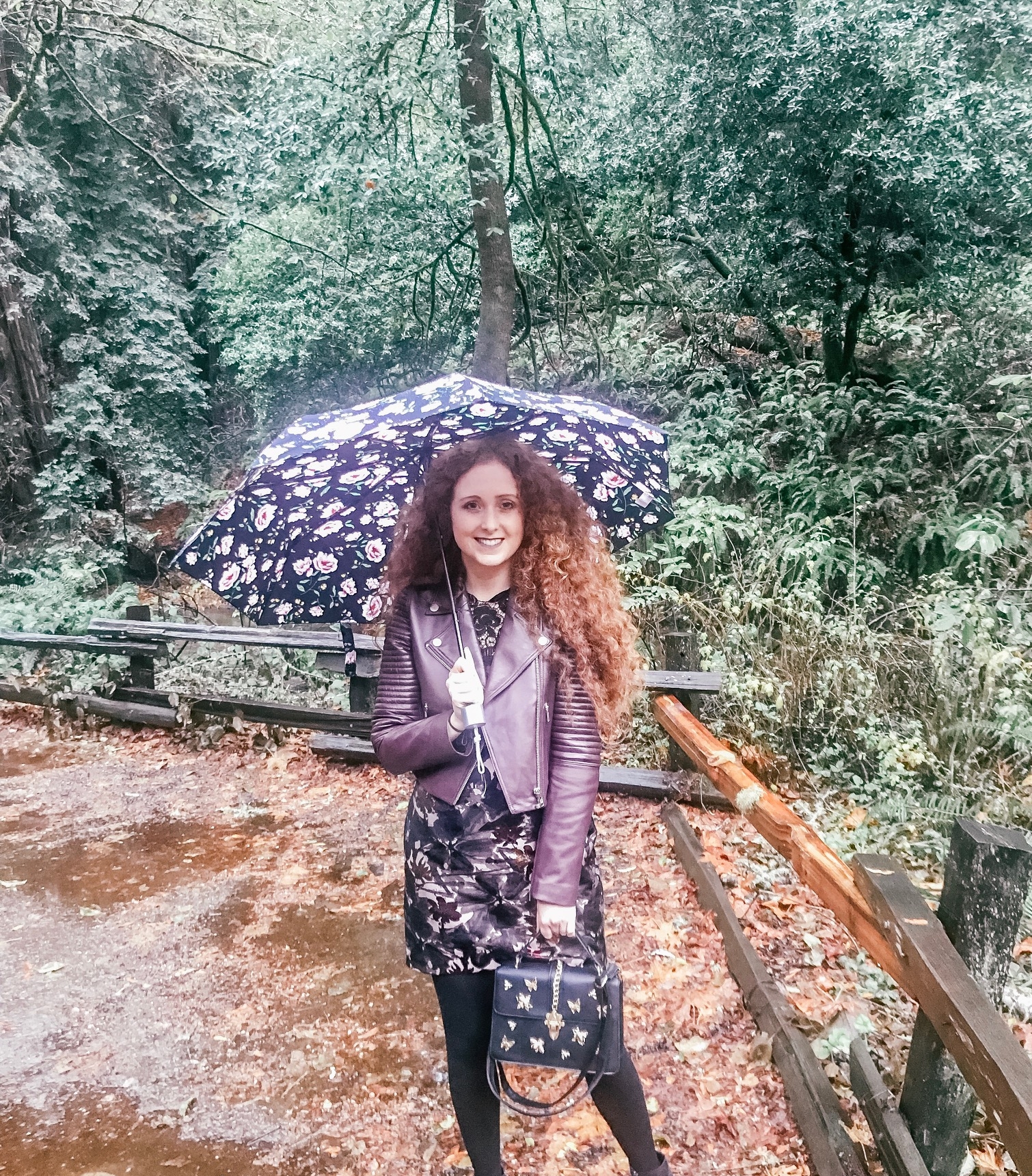 Muir Woods, Sonoma &amp; Napa Valley Tour Review with Extranomical Tours - A little rainy at Muir Woods