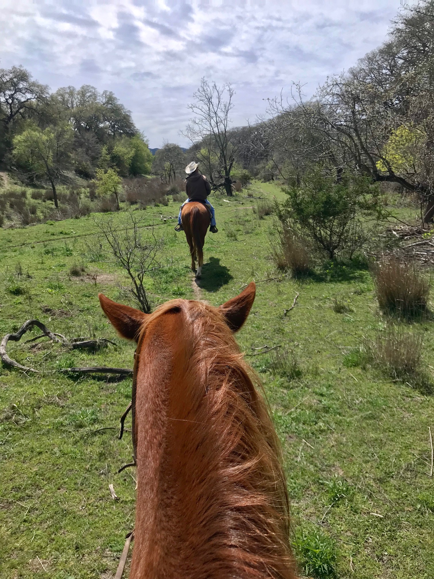 Mayan Dude Ranch Review Texas SF Travel Blogger Lorna Ryan Horses