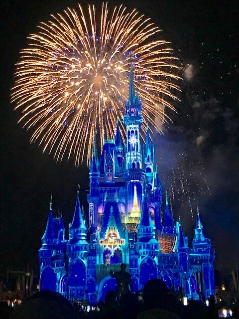 What to know on a first time trip to Walt Disney World, Florida: The nightly firework display at Magic Kingdom. Arrive early!