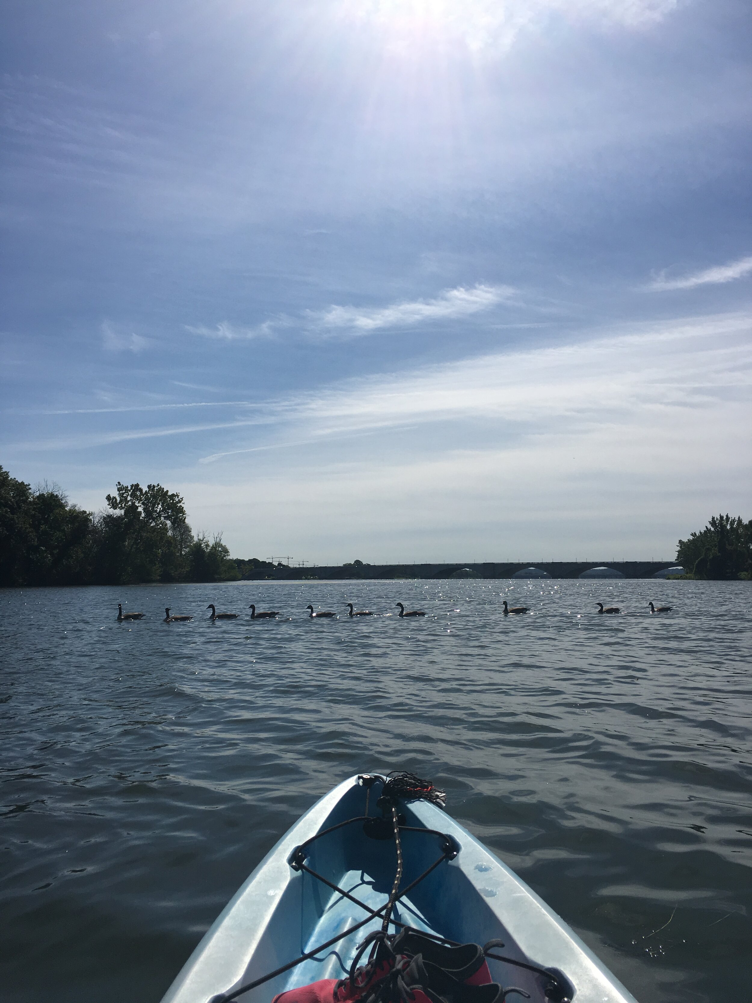Washington DC Travel Guide - Kayaking on the Potomac