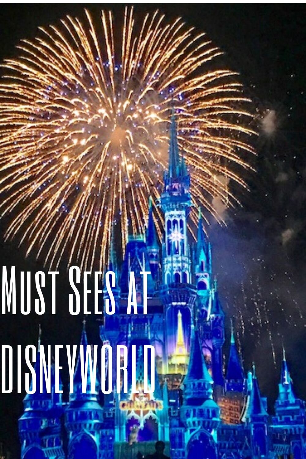 These are the best tips for a vacation to Disney World! Don't plan a Disney World family vacation without these tips and tricks. We will walk you through al you need to plan a successful first vacation at Disney World. All the best Disney World tips…