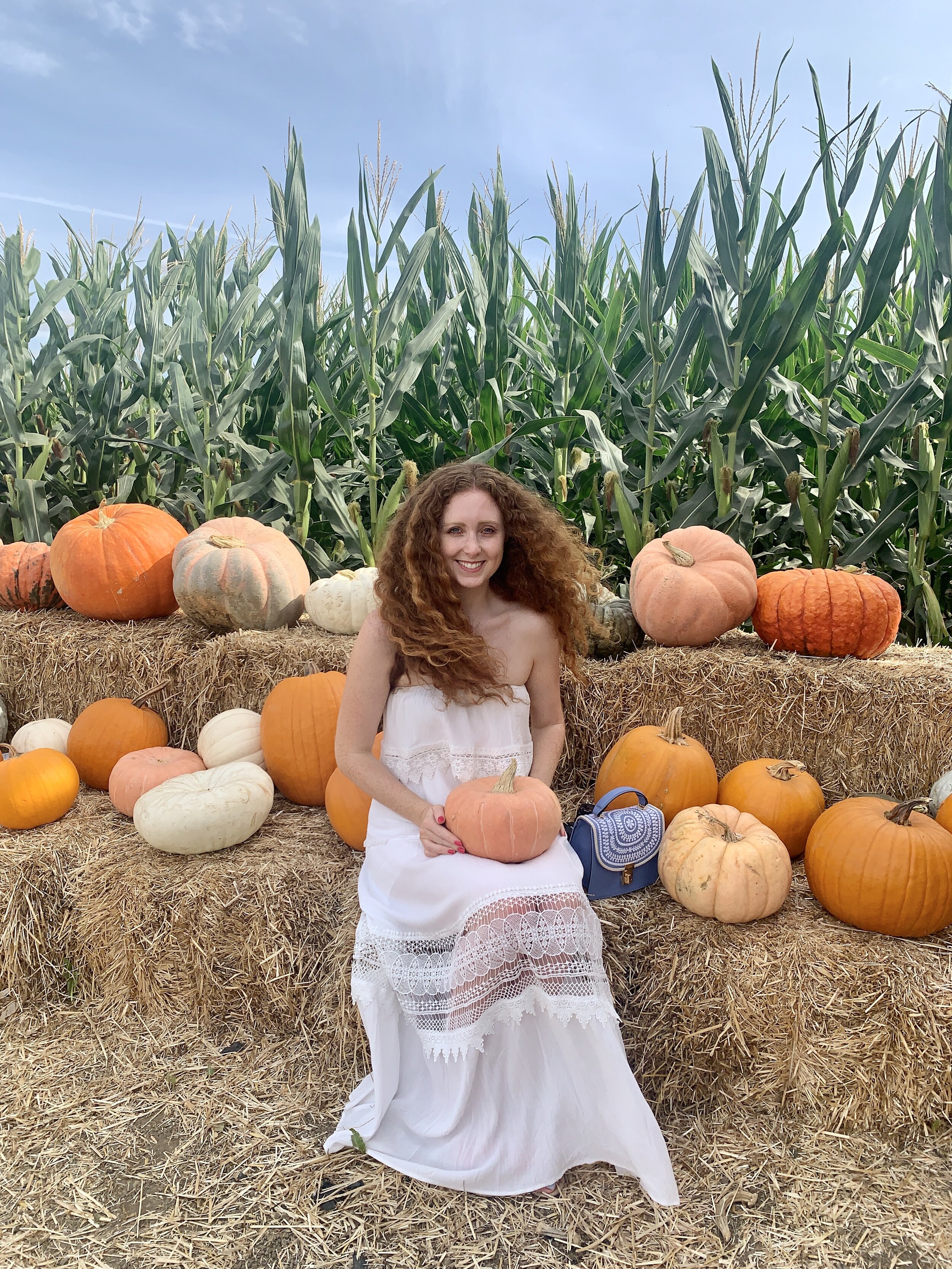 Swank Farms is the best pumpkin patch, sunflower fields and corn mazes near San Francisco and the Bay area. Swank Farms have a Fall Festival which is the perfect day trip from San Francisco, San Jose, Monterrey or Central California. The pumpkin pat…