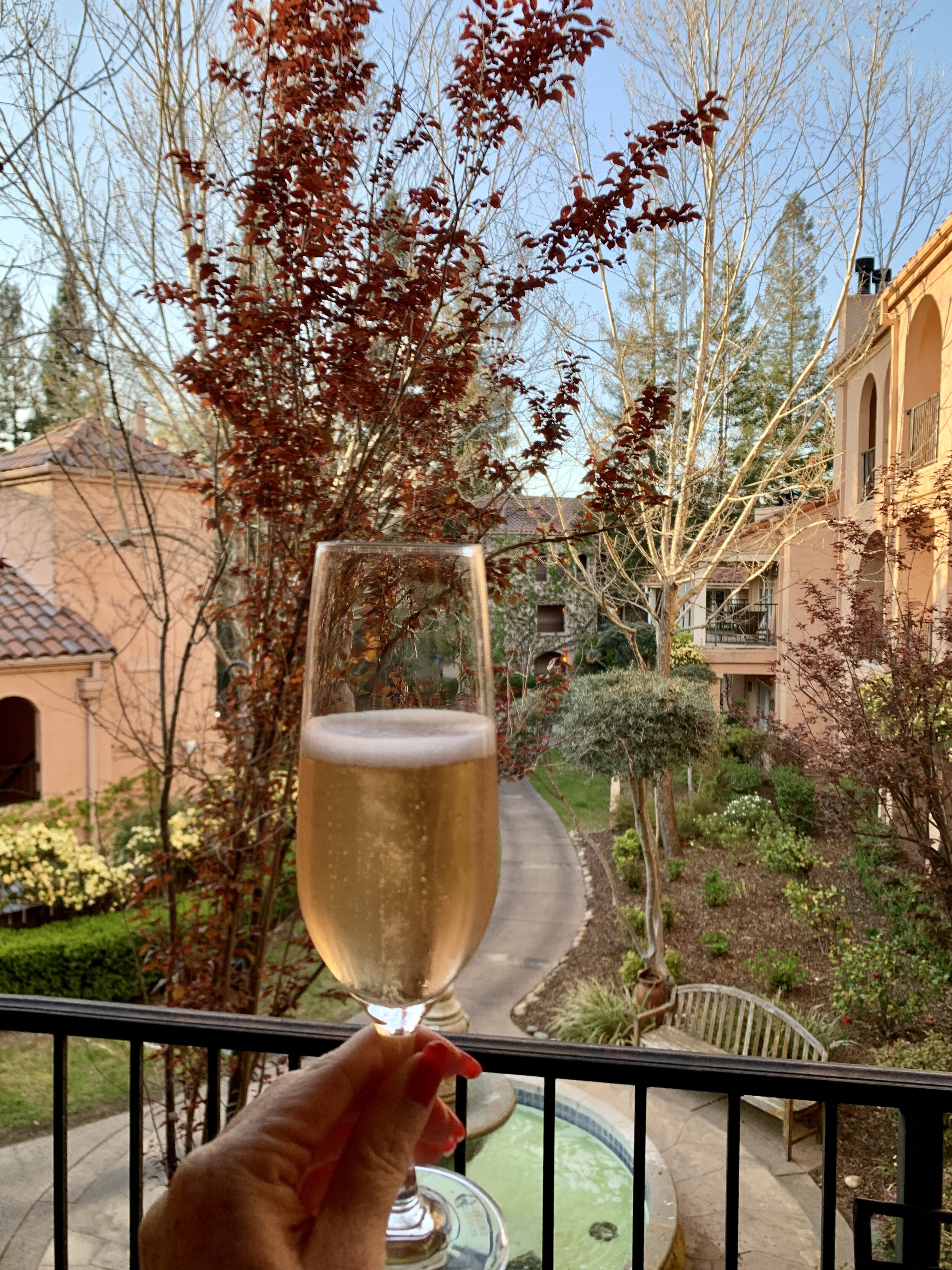 Fairmont Sonoma Mission Inn & Spa Review   - view from the balcony.JPG