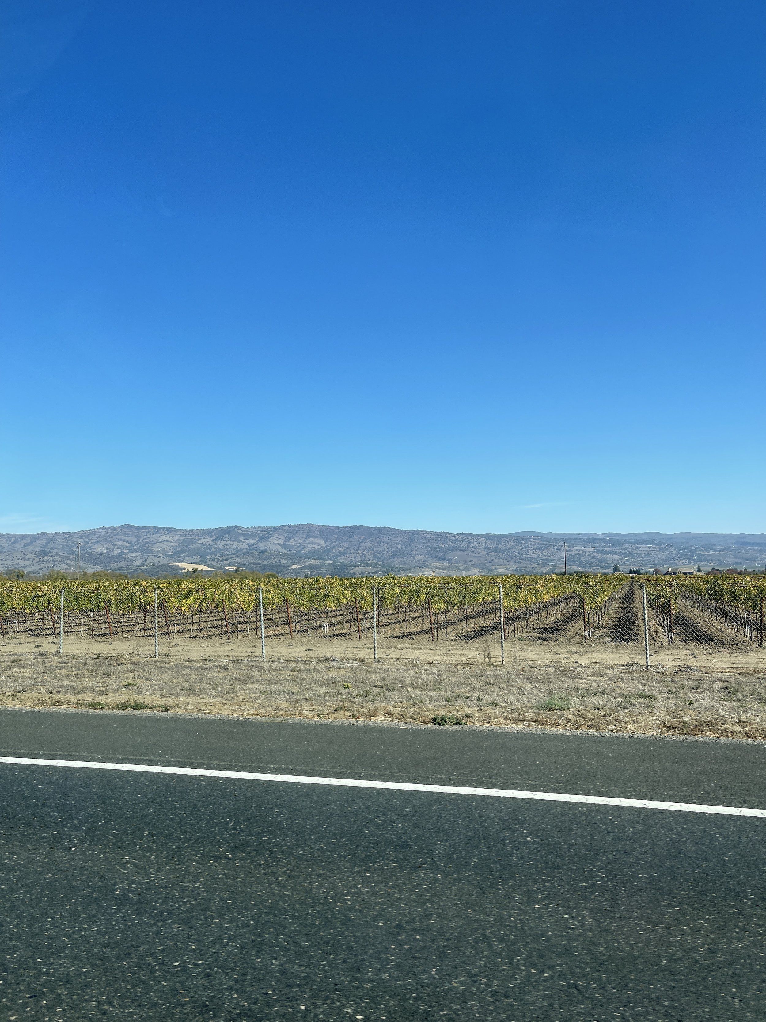 Napa Valley Top Vineyards