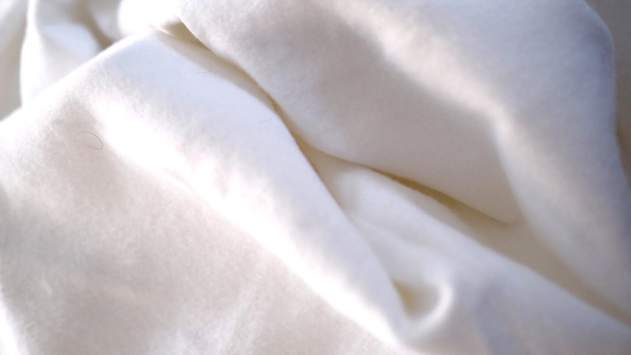Cozy Earth Blanket Reviews 40 Cozy Earth Discount Code Included 