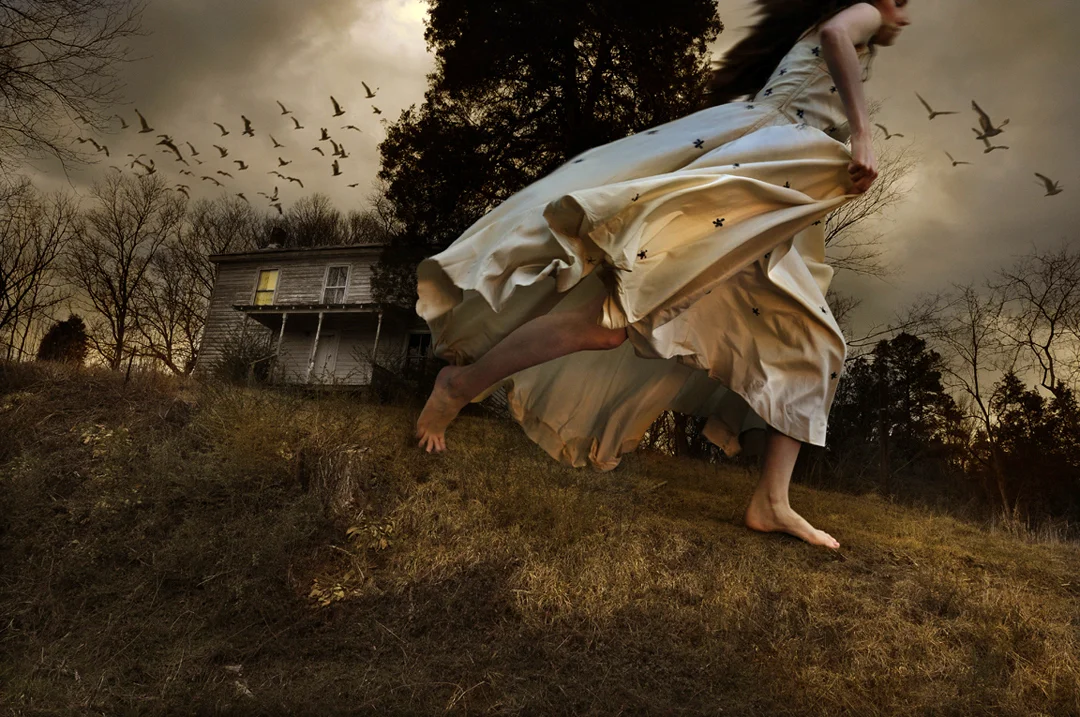 Winged Migration