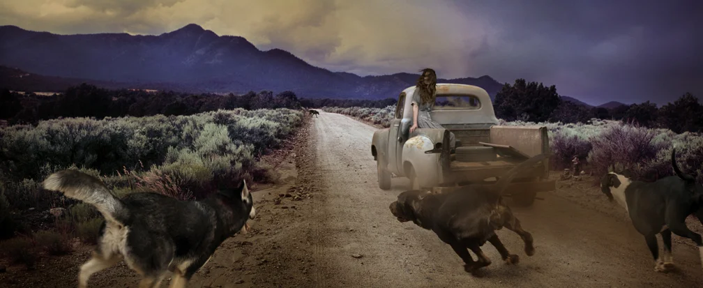 Dirt Road Dogs