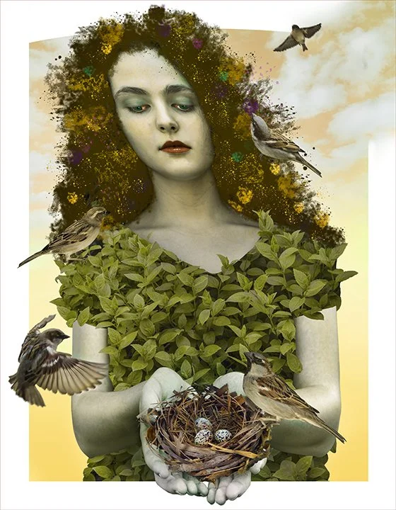 Song Bird Ménagerie.jpg