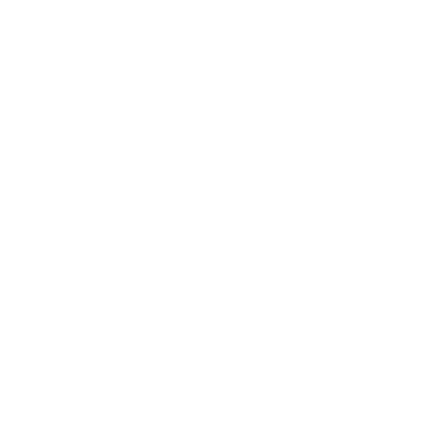 Wildthing Flyfishing