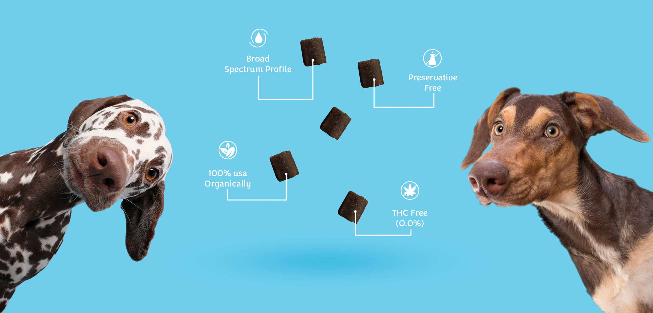 6_Treat_Benefits.png