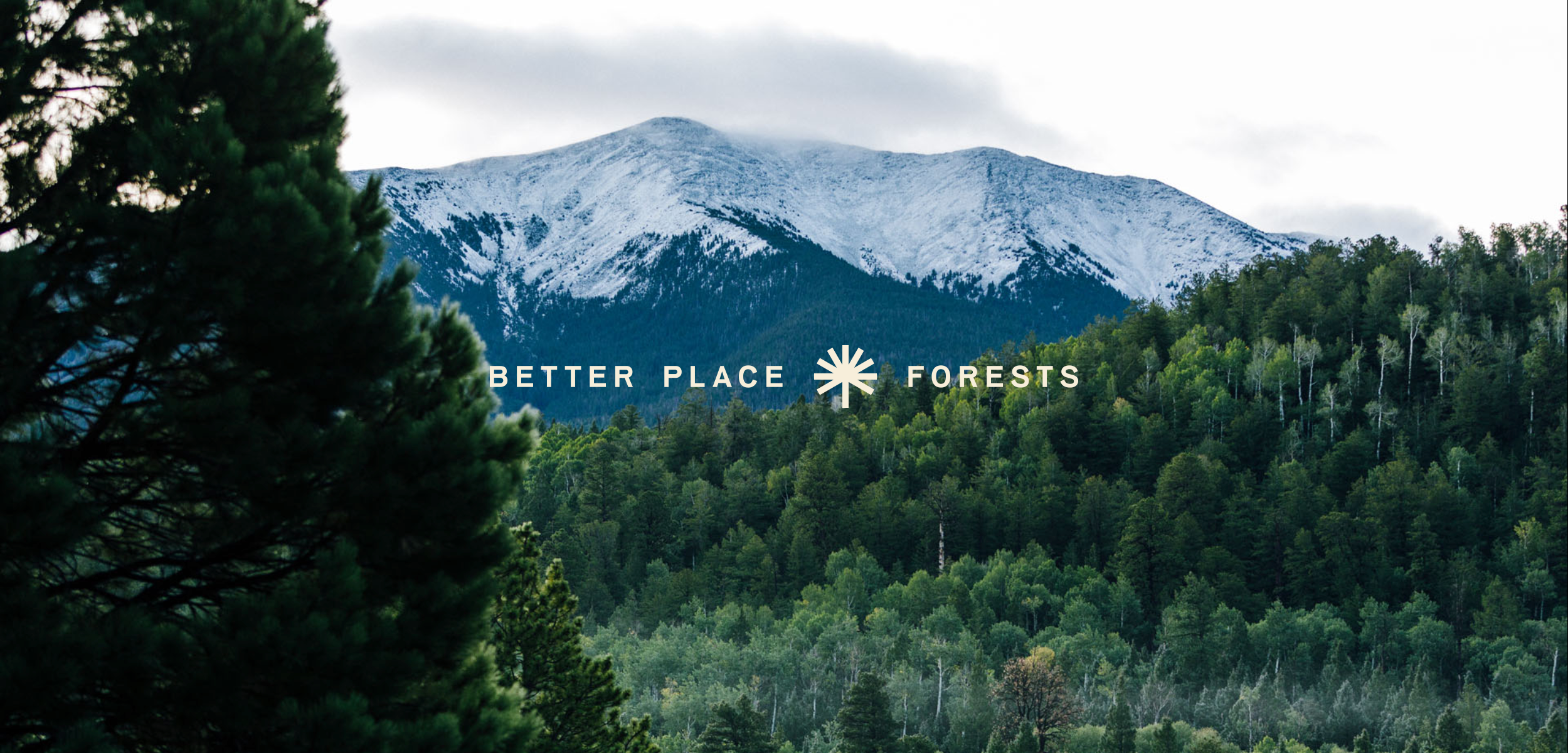 1_Header_Mountains.png