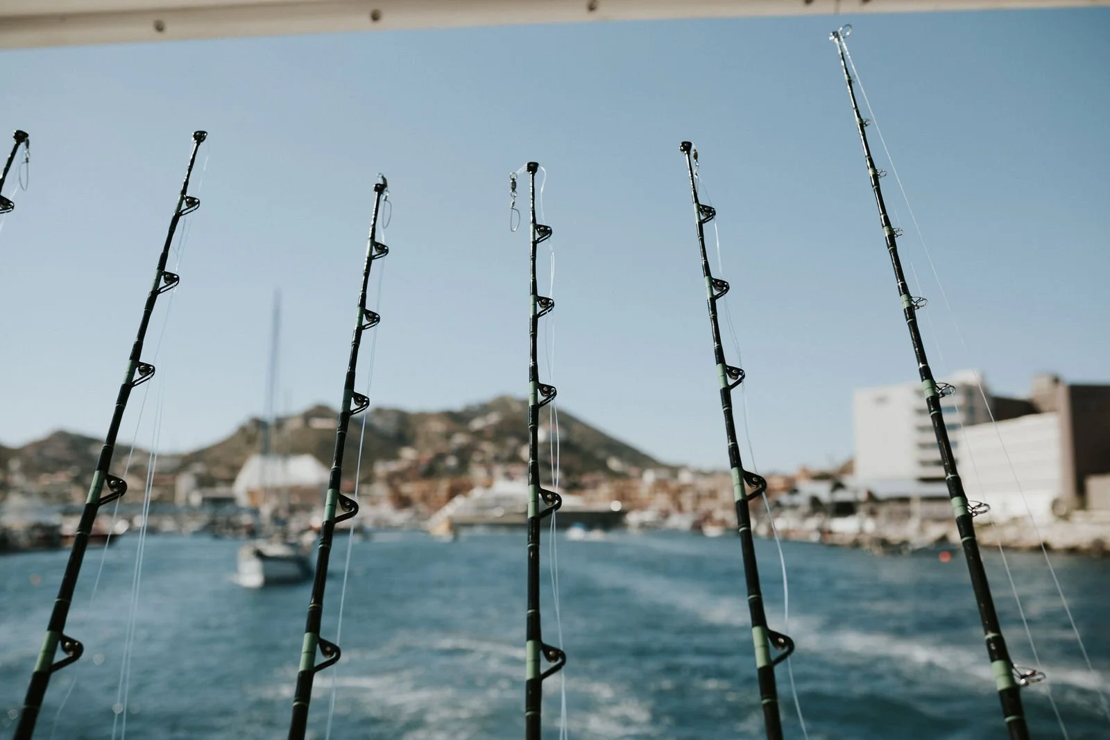 Varios cañas de pescar en primer plano con el mar y barcos en el fondo.
