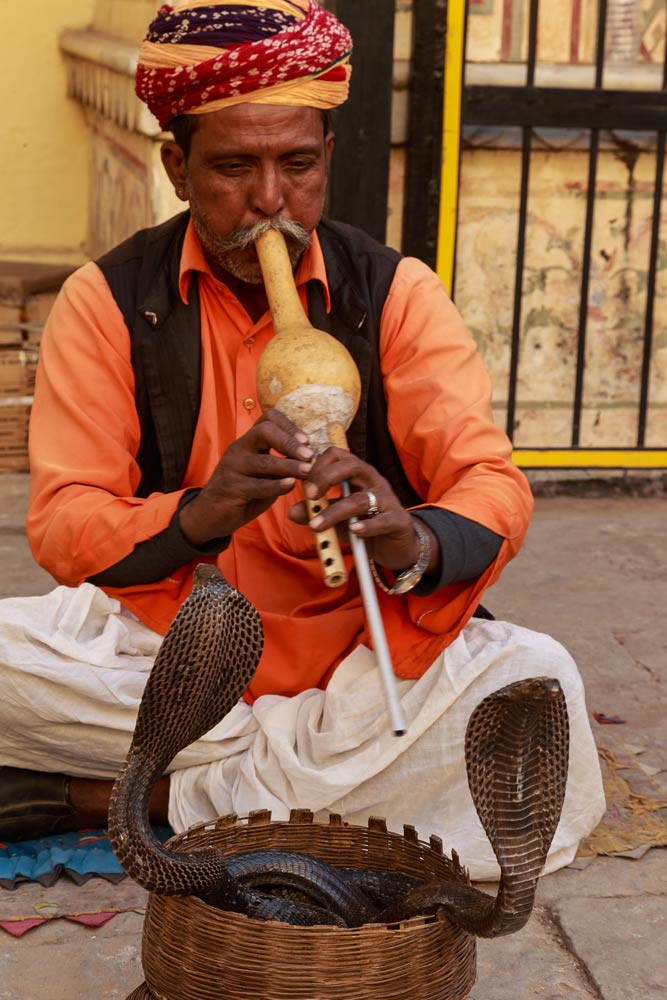 India-jaipur-snake-charmer-copyright-lewis-kemper.jpg