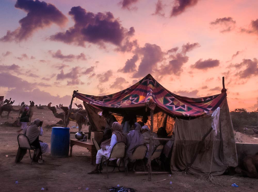 India-rajasthan-sunset-pushkar-camel-fair-copyright-lewis-kemper.jpg