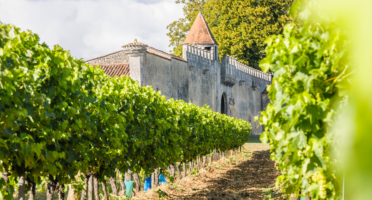 cognac-st-brice-photo-dr.jpg