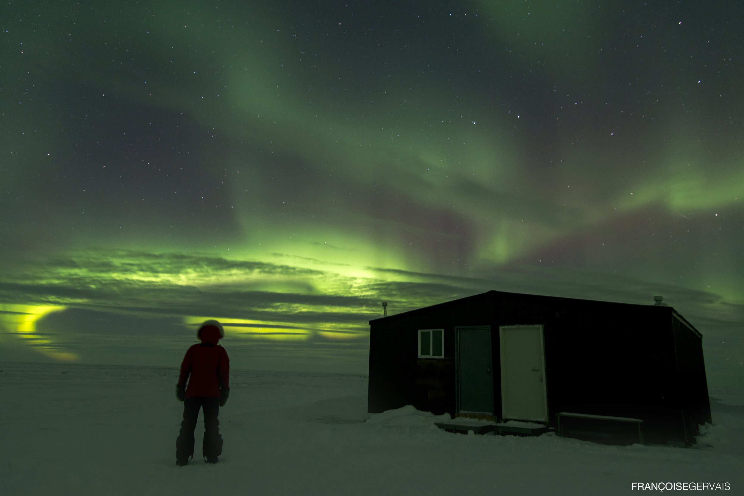 Arctic Kingdom FRANCOISE GERVAISE Polar bear cabin and northern lights_DSC_1994.jpg
