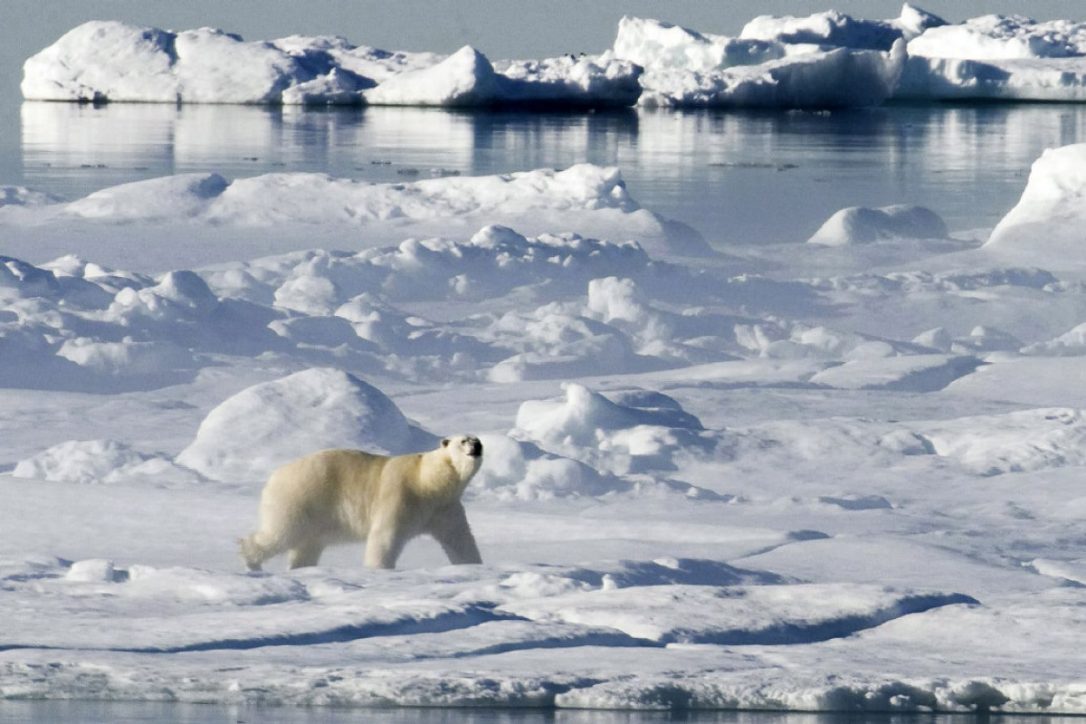 canadian arctic.jpg