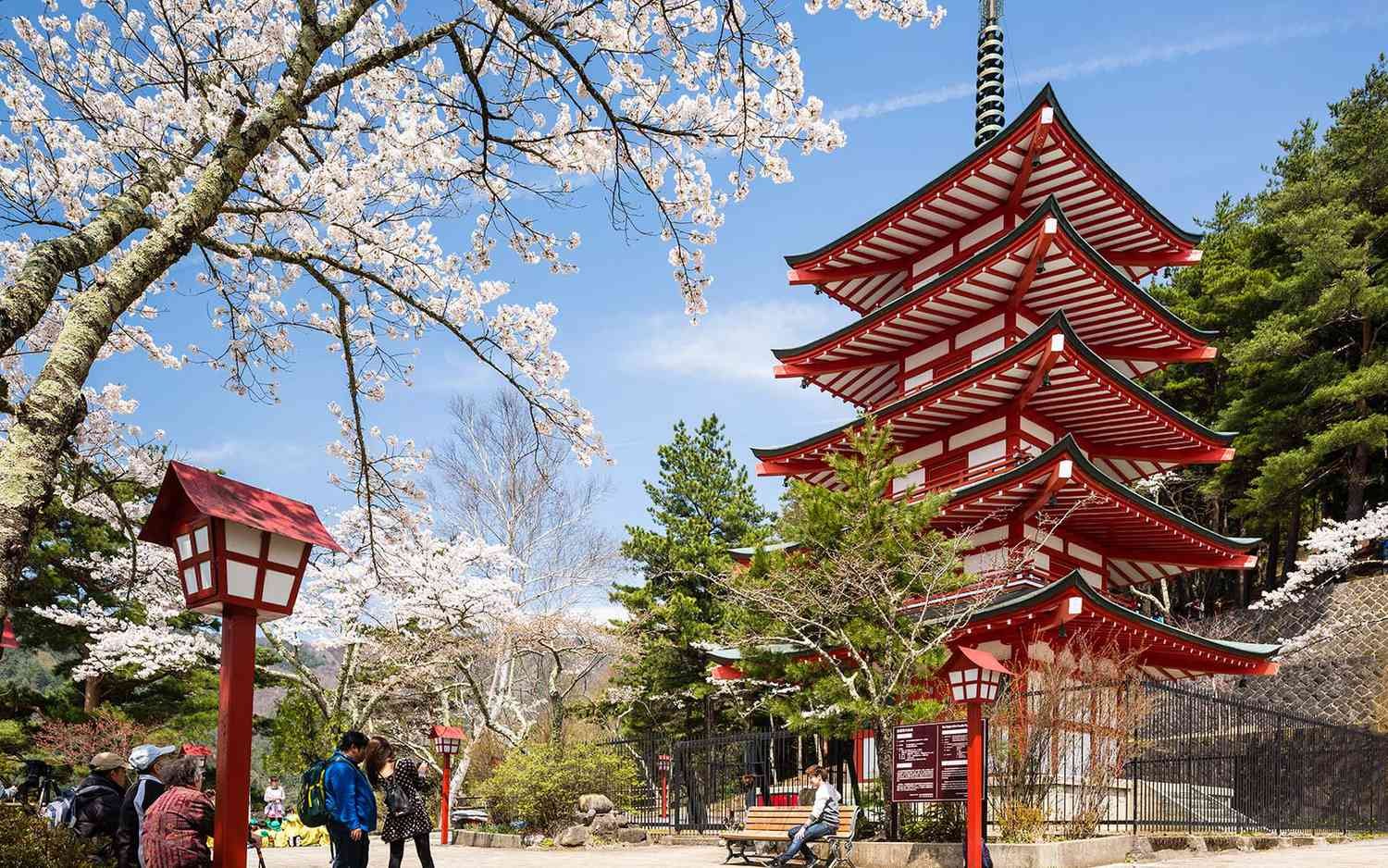 sakura-temple-pagoda-japan-VISITJP0218-73f37dad55eb4cb5b02ea4ae0eee714d.jpg
