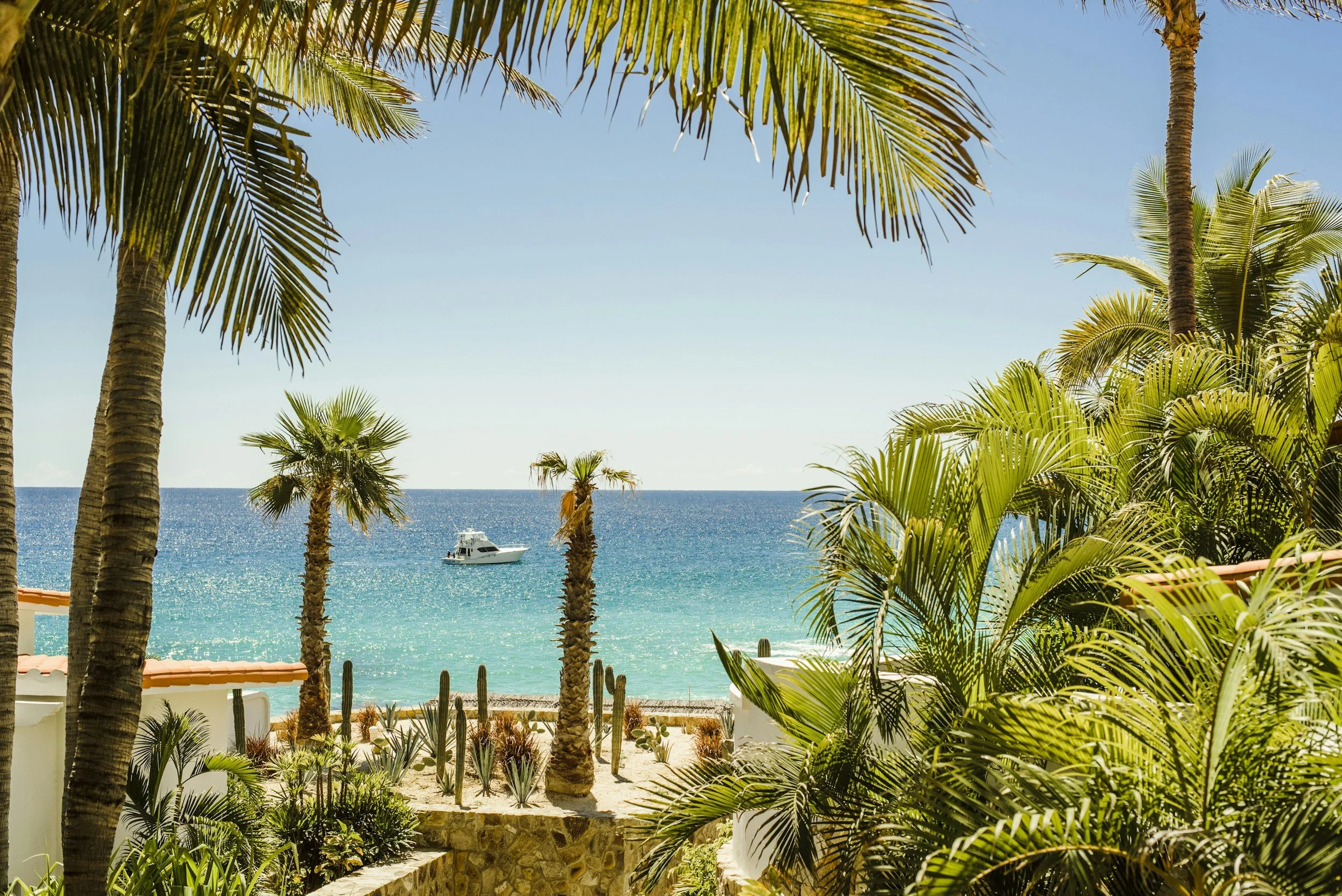 Vista de una playa tropical con palmeras, cactus y vegetación, con un mar azul y una barca en el agua