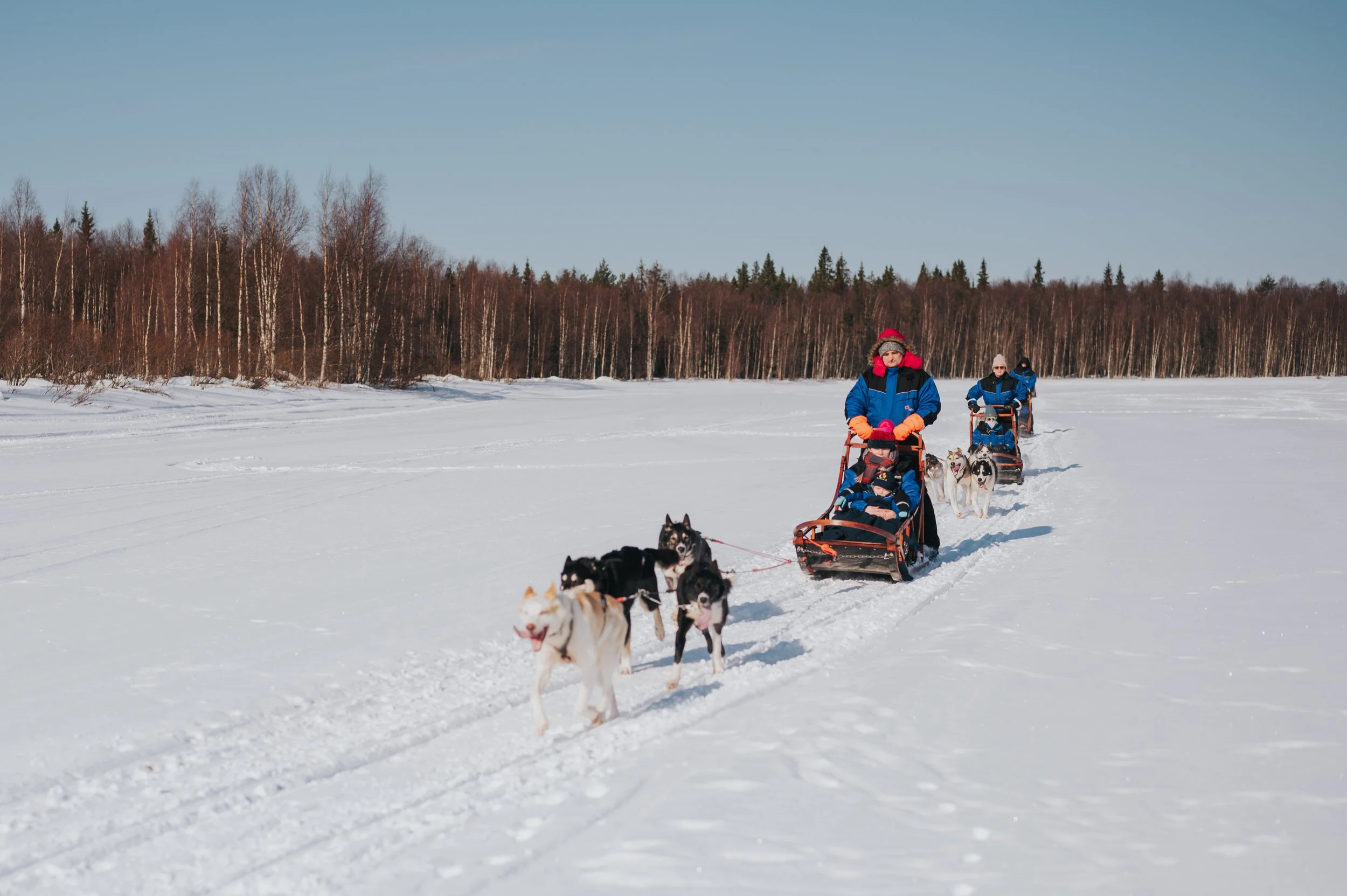 Personas paseando en trineos con perros en un paisaje nevado.