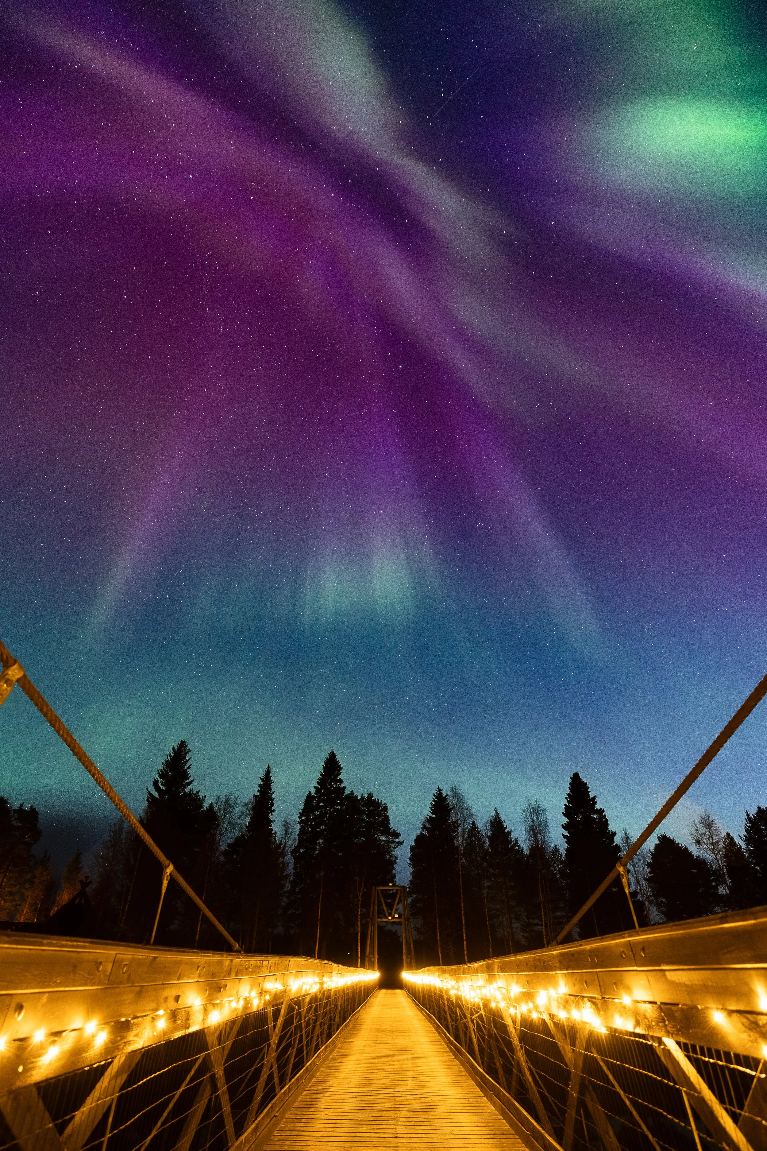 Puente peatonal de madera y cables con luces en un bosque, bajo un cielo nocturno con auroras boreales y estrellas.