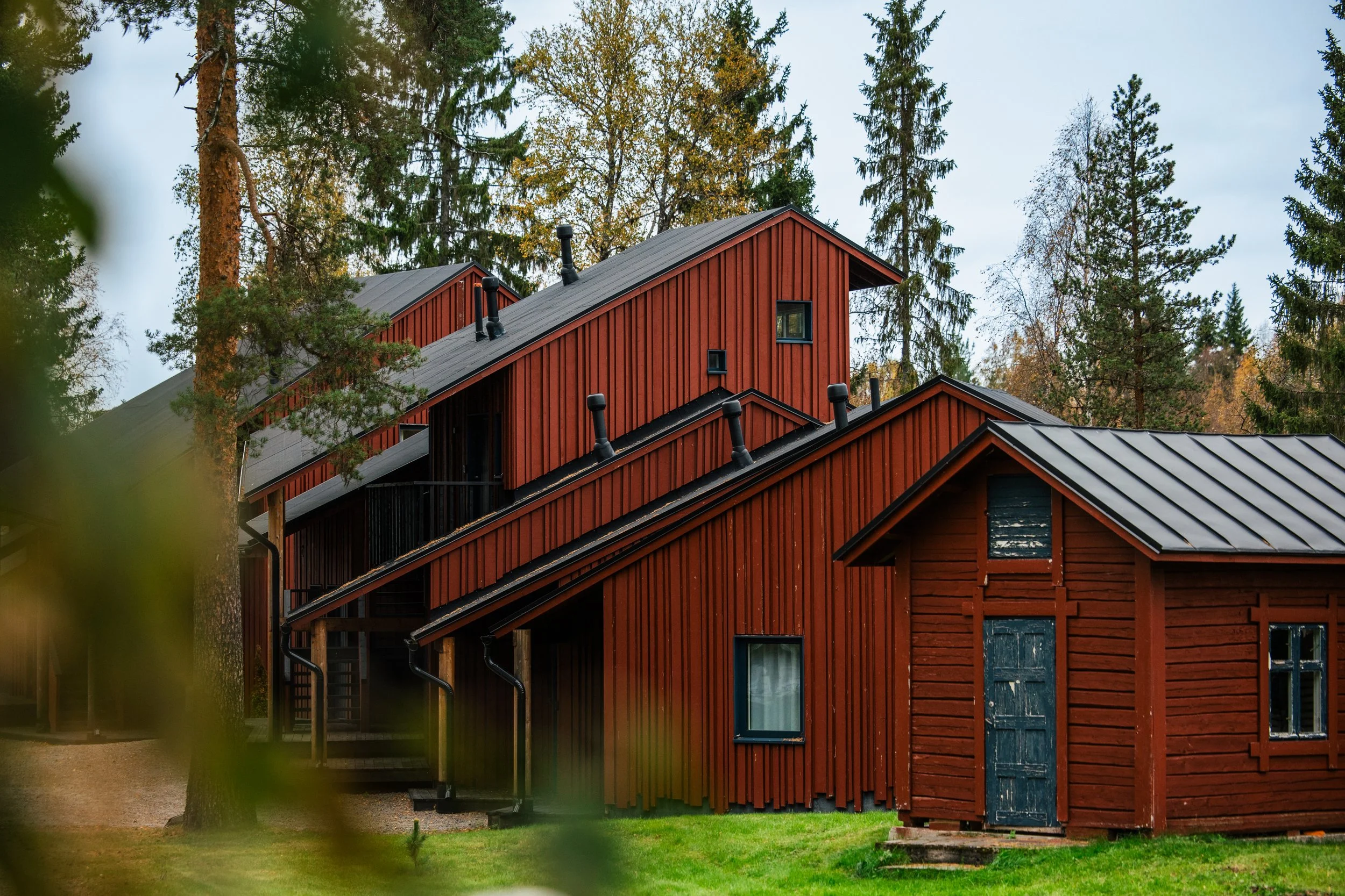 Conjunto de casas de madera de color rojo en un entorno boscoso con árboles altos y ramas verdes, en un día despejado con cielo nublado.
