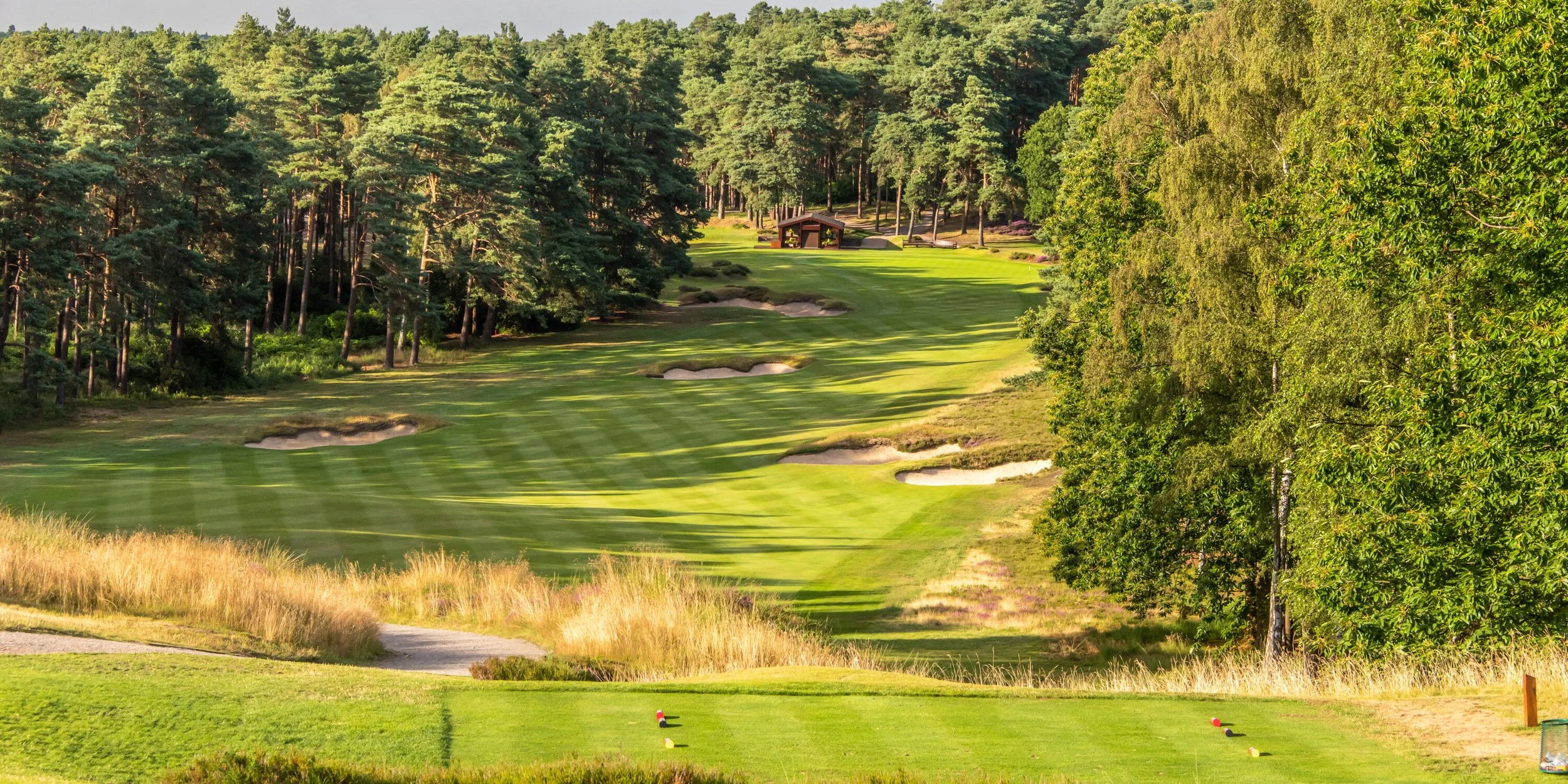 Vista de un campo de golf con árboles, césped y arena para bunkers, y una caseta en el fondo.